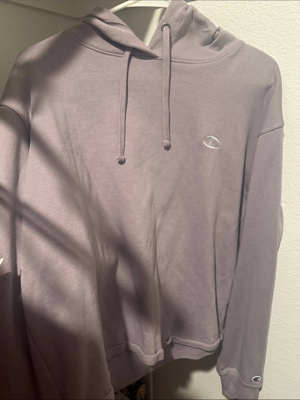 Champion Men's Crewneck Hoodie in Lavender